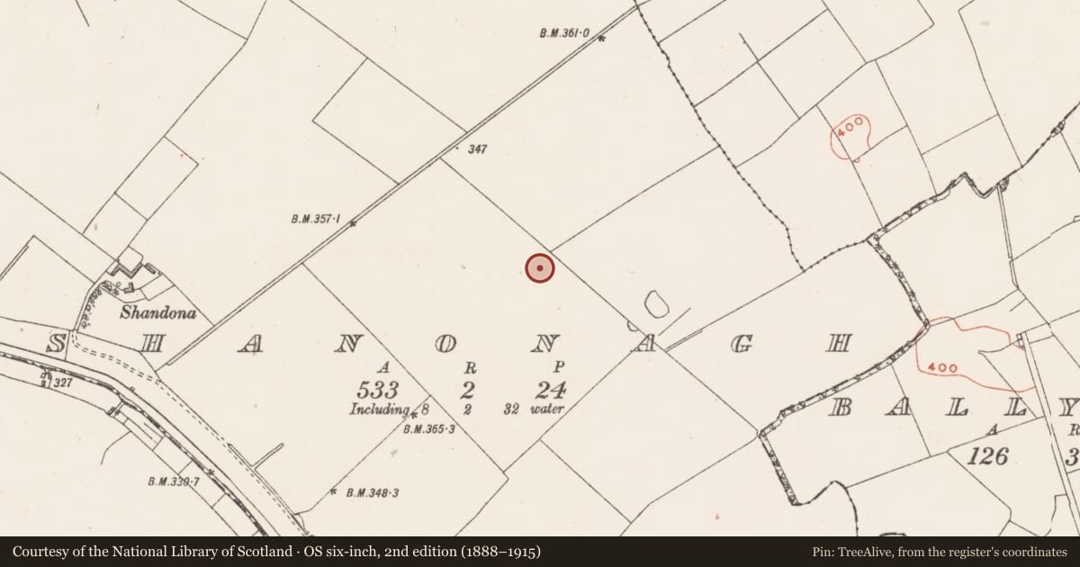 Ordnance Survey six-inch map, 2nd edition (1888–1915) covering the location of Enclosure, Shanonagh, County Westmeath, with a pin at the register's coordinates