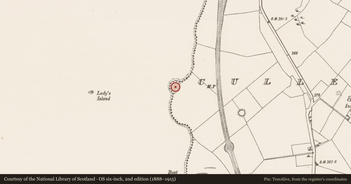 Ordnance Survey six-inch map, 2nd edition (1888–1915) covering the location of Promontory fort - inland, Culleen More, County Westmeath, with a pin at the register's coordinates