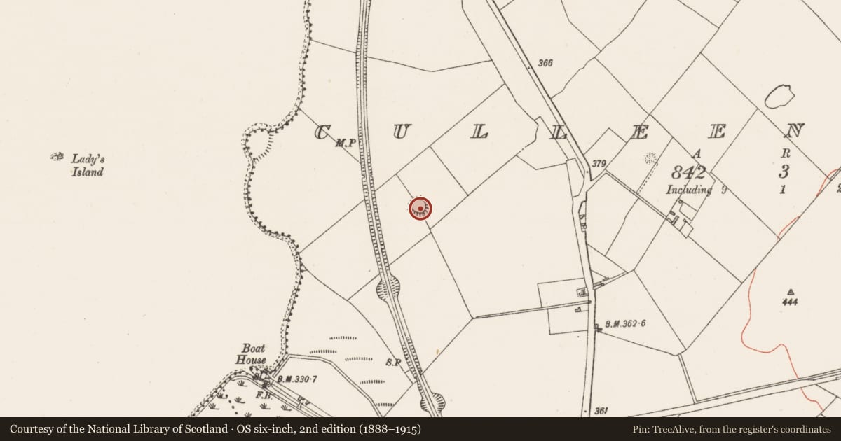 Ordnance Survey six-inch map, 2nd edition (1888–1915) covering the location of Ringfort - rath, Culleen More, County Westmeath, with a pin at the register's coordinates