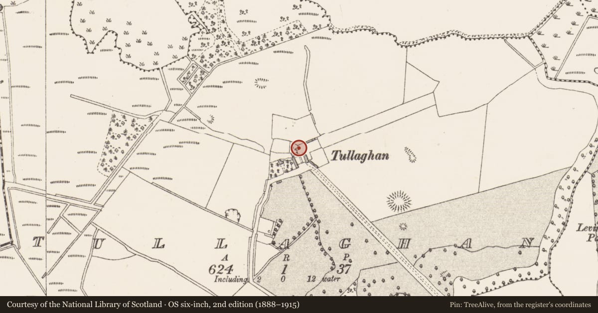 Ordnance Survey six-inch map, 2nd edition (1888–1915) covering the location of Castle - tower house, Tullaghan, County Westmeath, with a pin at the register's coordinates