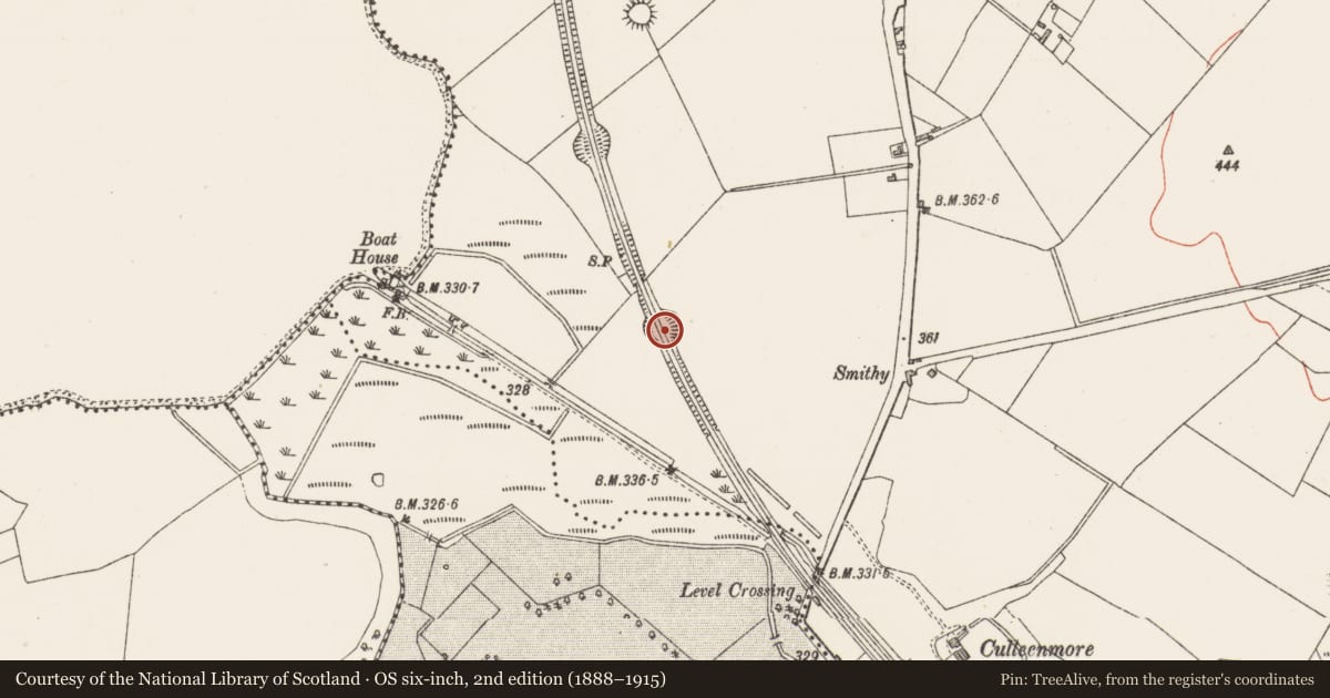 Ordnance Survey six-inch map, 2nd edition (1888–1915) covering the location of Ringfort - rath, Culleen More, County Westmeath, with a pin at the register's coordinates