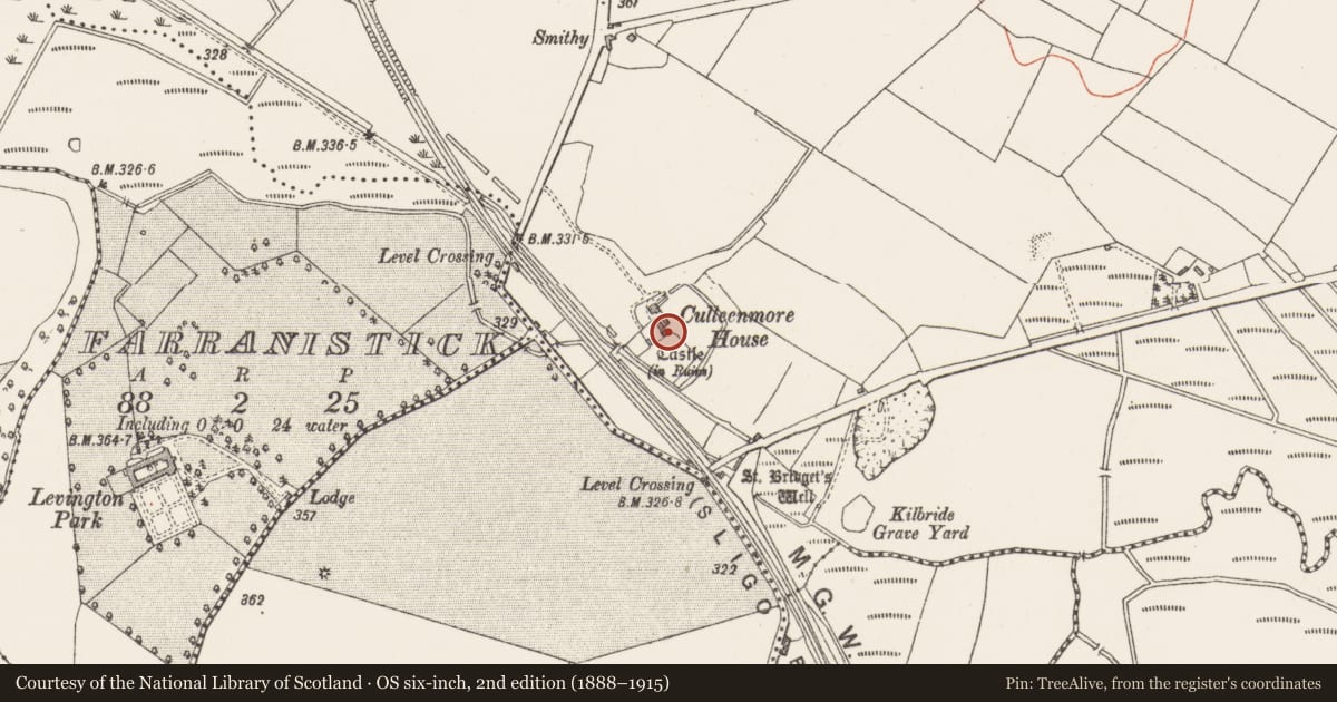 Ordnance Survey six-inch map, 2nd edition (1888–1915) covering the location of Castle - tower house, Culleen More, County Westmeath, with a pin at the register's coordinates
