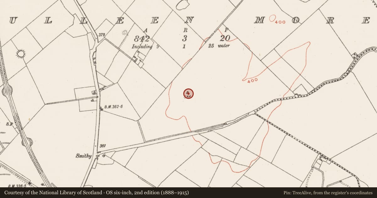 Ordnance Survey six-inch map, 2nd edition (1888–1915) covering the location of Barrow - mound barrow, Culleen More, County Westmeath, with a pin at the register's coordinates