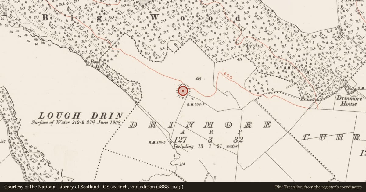 Ordnance Survey six-inch map, 2nd edition (1888–1915) covering the location of House - indeterminate date, Drinmore, County Westmeath, with a pin at the register's coordinates