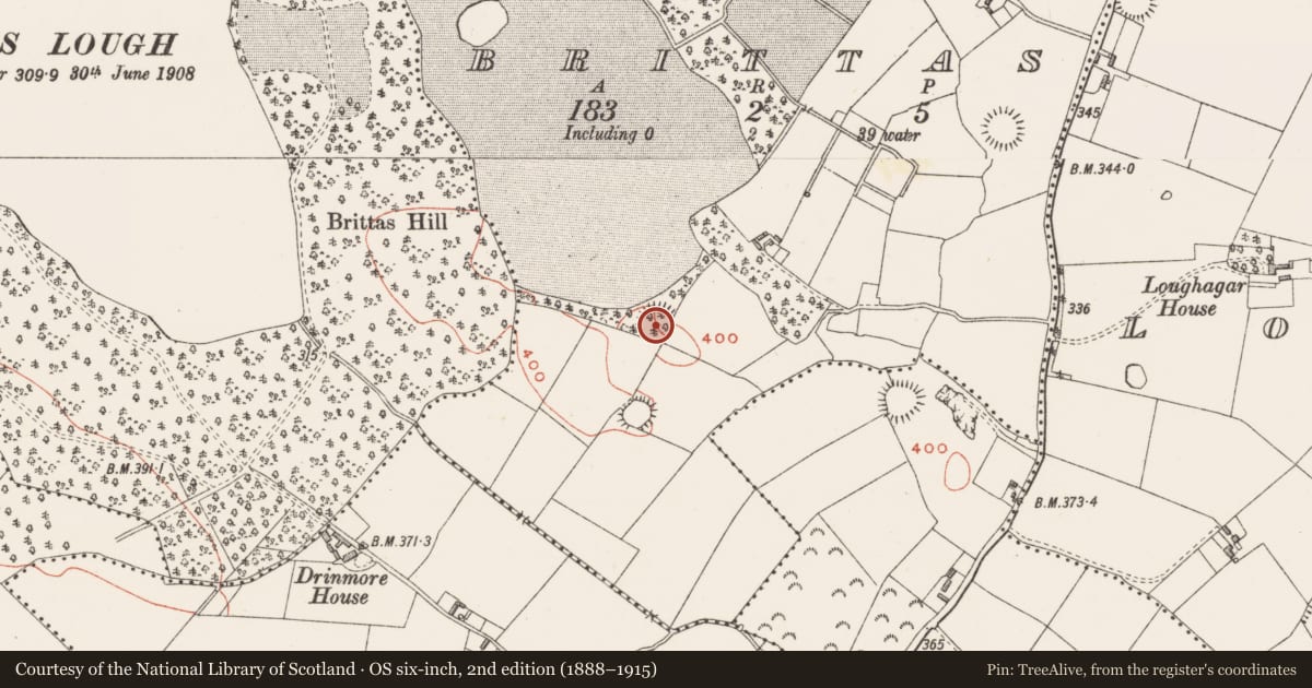 Ordnance Survey six-inch map, 2nd edition (1888–1915) covering the location of Ringfort - rath, Brittas, County Westmeath, with a pin at the register's coordinates