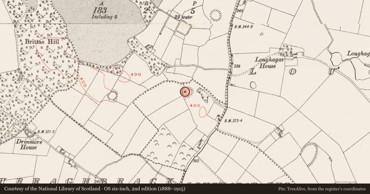 Ordnance Survey six-inch map, 2nd edition (1888–1915) covering the location of Ringfort - rath, Loughagar Beg, County Westmeath, with a pin at the register's coordinates