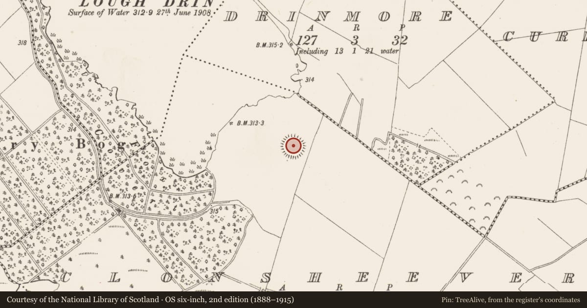 Ordnance Survey six-inch map, 2nd edition (1888–1915) covering the location of Ringfort - rath, Clonsheever, County Westmeath, with a pin at the register's coordinates