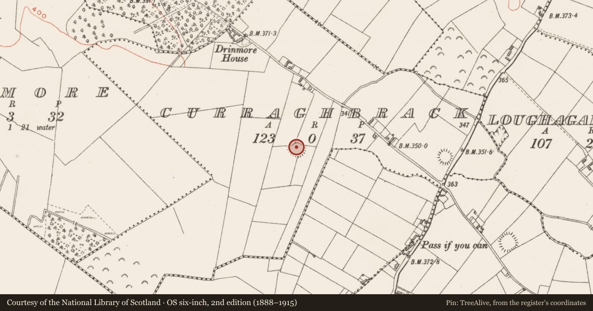 Ordnance Survey six-inch map, 2nd edition (1888–1915) covering the location of Ringfort - rath, Curraghbrack, County Westmeath, with a pin at the register's coordinates
