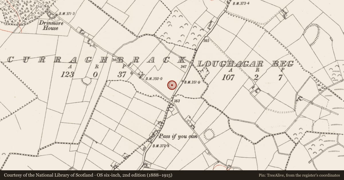 Ordnance Survey six-inch map, 2nd edition (1888–1915) covering the location of Ringfort - rath, Curraghbrack, County Westmeath, with a pin at the register's coordinates