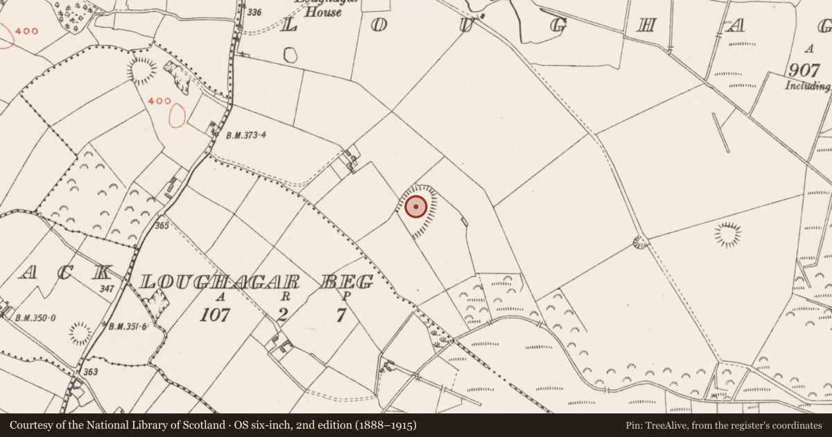 Ordnance Survey six-inch map, 2nd edition (1888–1915) covering the location of Enclosure - large enclosure, Loughagar More, County Westmeath, with a pin at the register's coordinates
