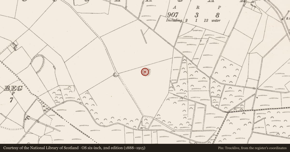 Ordnance Survey six-inch map, 2nd edition (1888–1915) covering the location of Ringfort - rath, Loughagar More, County Westmeath, with a pin at the register's coordinates