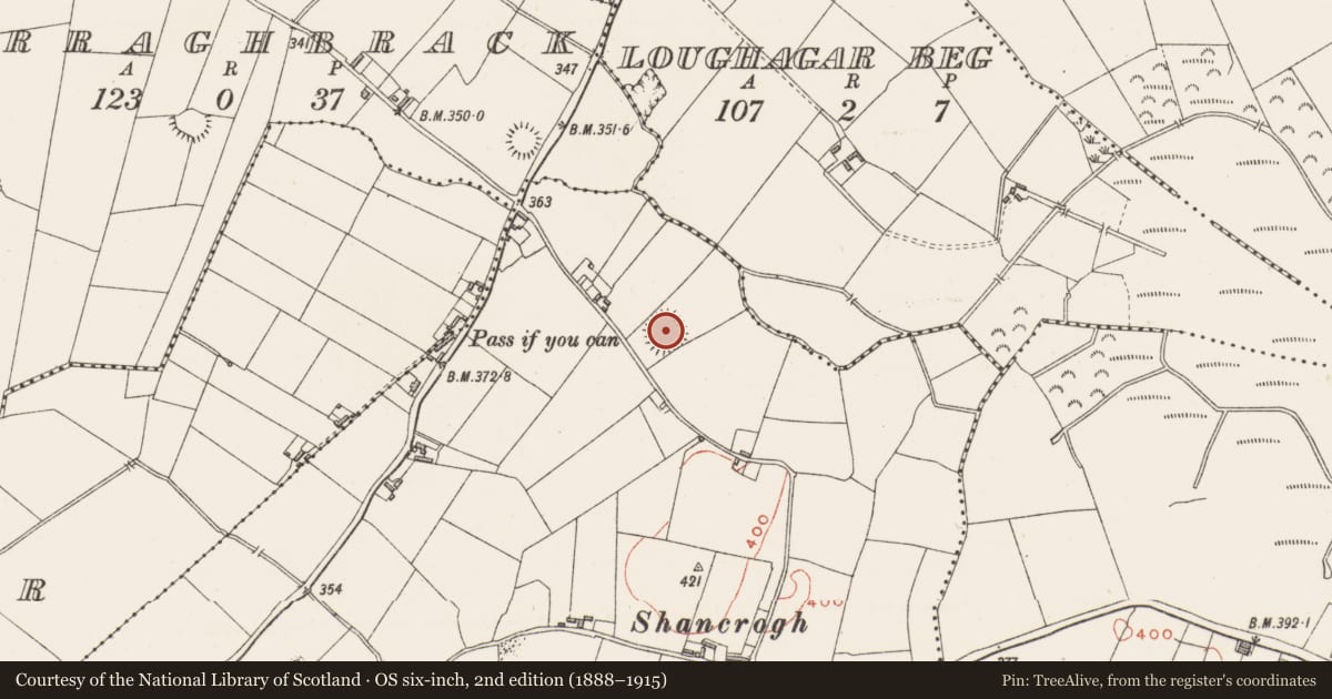 Ordnance Survey six-inch map, 2nd edition (1888–1915) covering the location of Ringfort - rath, Rathconnell, County Westmeath, with a pin at the register's coordinates