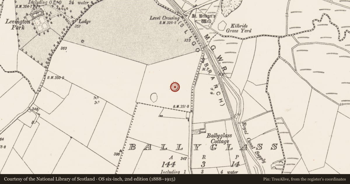 Ordnance Survey six-inch map, 2nd edition (1888–1915) covering the location of Ringfort - rath, Irishtown, County Westmeath, with a pin at the register's coordinates