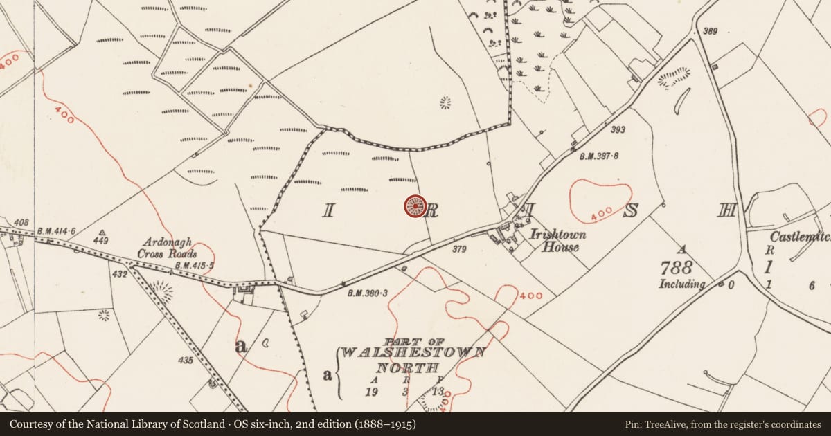 Ordnance Survey six-inch map, 2nd edition (1888–1915) covering the location of House - indeterminate date, Irishtown, County Westmeath, with a pin at the register's coordinates