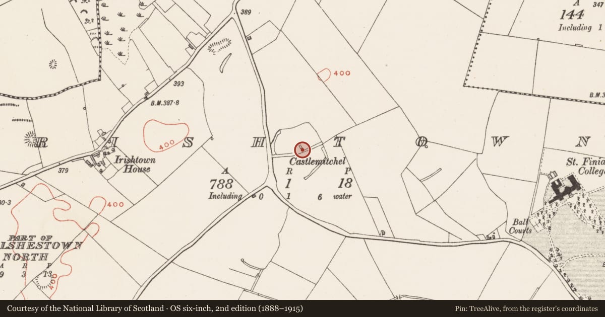 Ordnance Survey six-inch map, 2nd edition (1888–1915) covering the location of Castle - unclassified, Irishtown, County Westmeath, with a pin at the register's coordinates