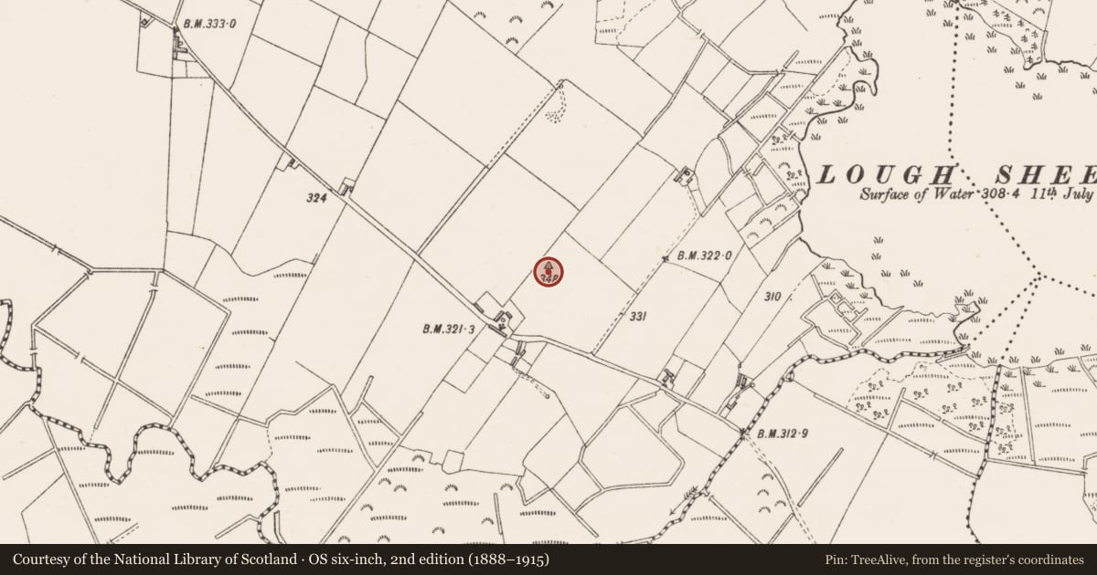 Ordnance Survey six-inch map, 2nd edition (1888–1915) covering the location of Ringfort - rath, Culleen Beg, County Westmeath, with a pin at the register's coordinates