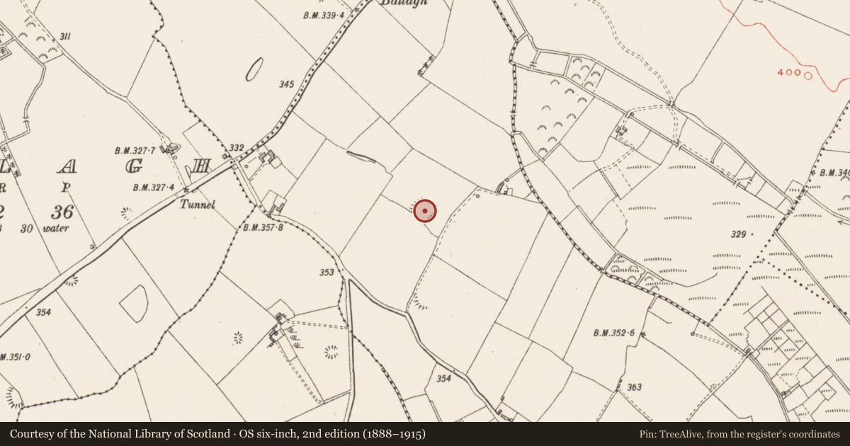 Ordnance Survey six-inch map, 2nd edition (1888–1915) covering the location of Ringfort - rath, Curragh More, County Westmeath, with a pin at the register's coordinates