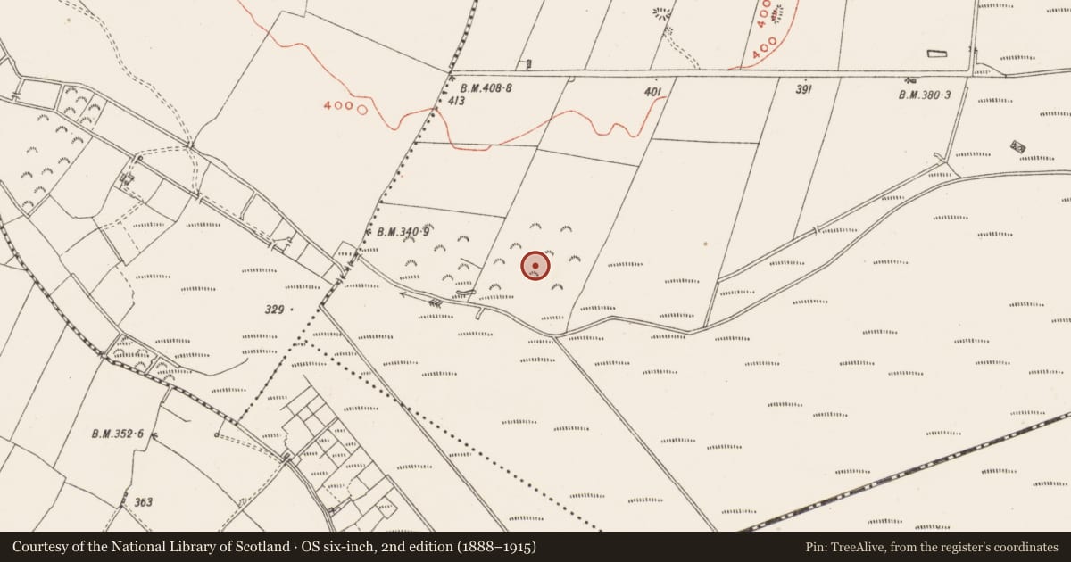 Ordnance Survey six-inch map, 2nd edition (1888–1915) covering the location of Standing stone, MacEtown, County Westmeath, with a pin at the register's coordinates