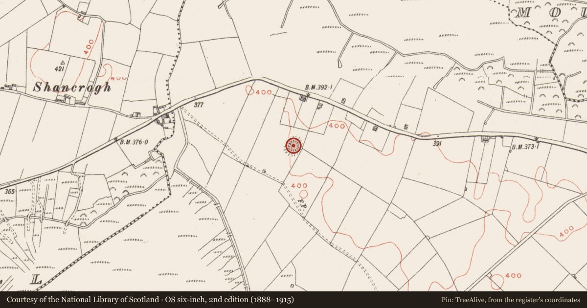 Ordnance Survey six-inch map, 2nd edition (1888–1915) covering the location of Ringfort - rath, MacEtown, County Westmeath, with a pin at the register's coordinates