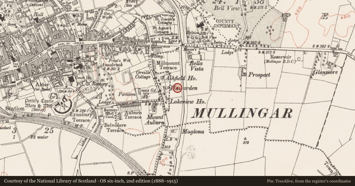 Ordnance Survey six-inch map, 2nd edition (1888–1915) covering the location of Standing stone, Petitswood, County Westmeath, with a pin at the register's coordinates