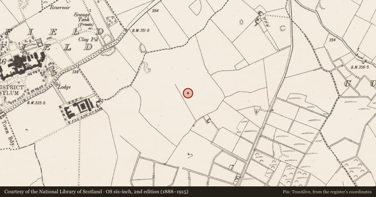 Ordnance Survey six-inch map, 2nd edition (1888–1915) covering the location of Ringfort - unclassified, Petitswood, County Westmeath, with a pin at the register's coordinates