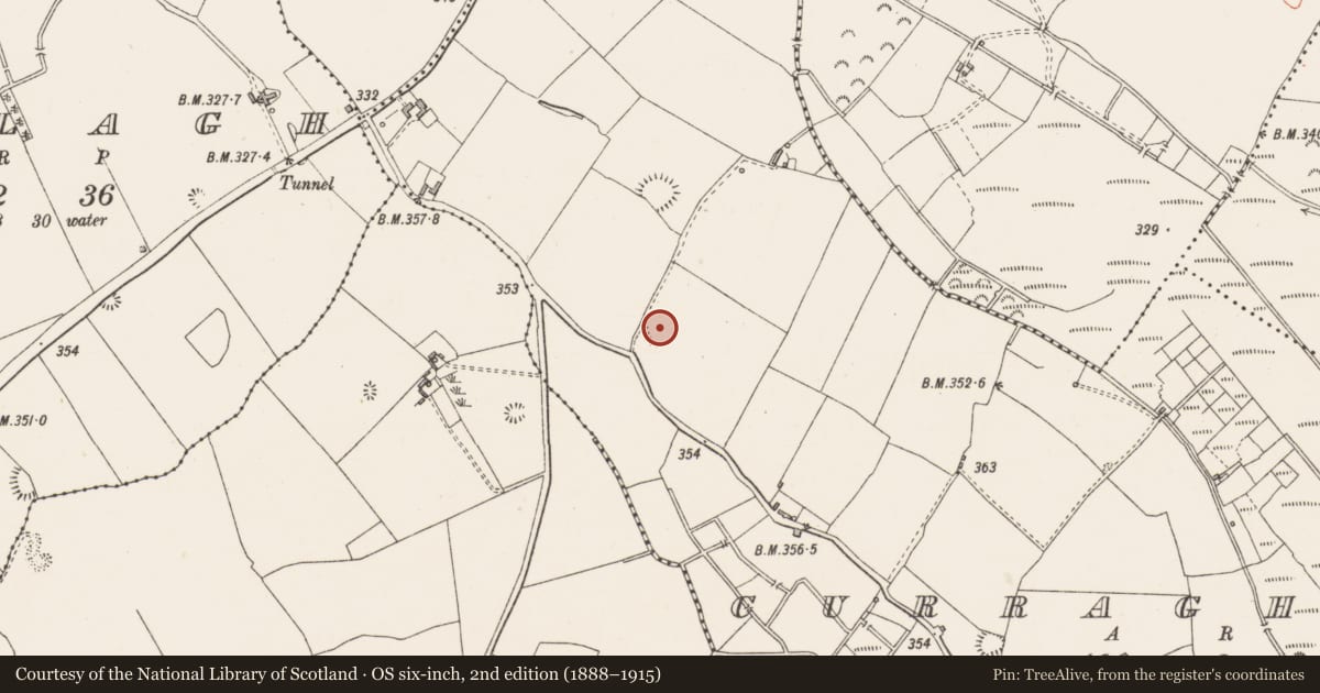 Ordnance Survey six-inch map, 2nd edition (1888–1915) covering the location of Ringfort - rath, Curraghmore, County Westmeath, with a pin at the register's coordinates