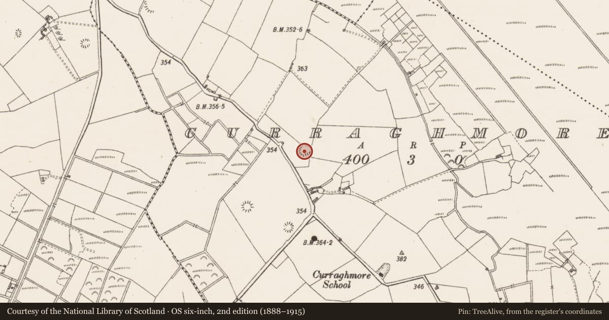 Ordnance Survey six-inch map, 2nd edition (1888–1915) covering the location of Ringfort - rath, Curraghmore, County Westmeath, with a pin at the register's coordinates