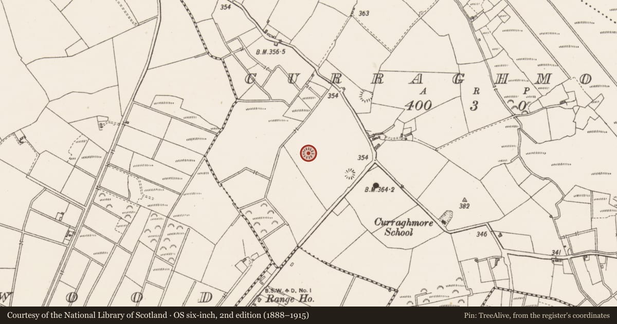 Ordnance Survey six-inch map, 2nd edition (1888–1915) covering the location of Ringfort - rath, Curraghmore, County Westmeath, with a pin at the register's coordinates
