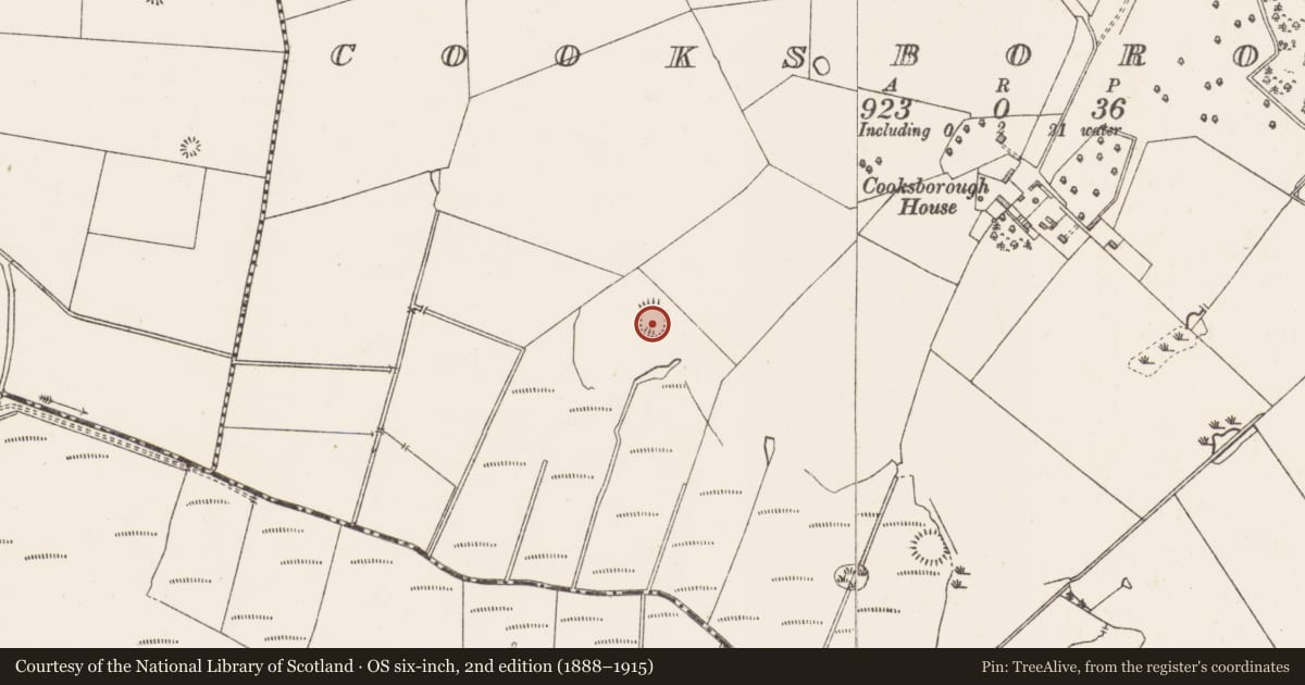Ordnance Survey six-inch map, 2nd edition (1888–1915) covering the location of Ringfort - rath, Cooksborough, County Westmeath, with a pin at the register's coordinates