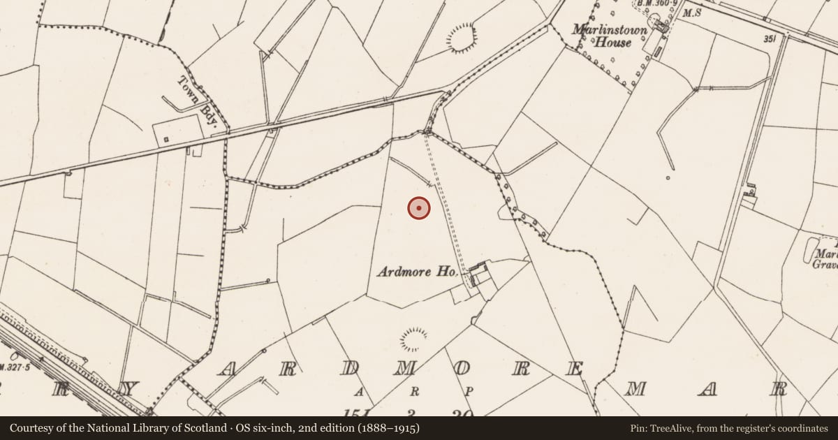 Ordnance Survey six-inch map, 2nd edition (1888–1915) covering the location of Ringfort - unclassified, Ardmore, County Westmeath, with a pin at the register's coordinates