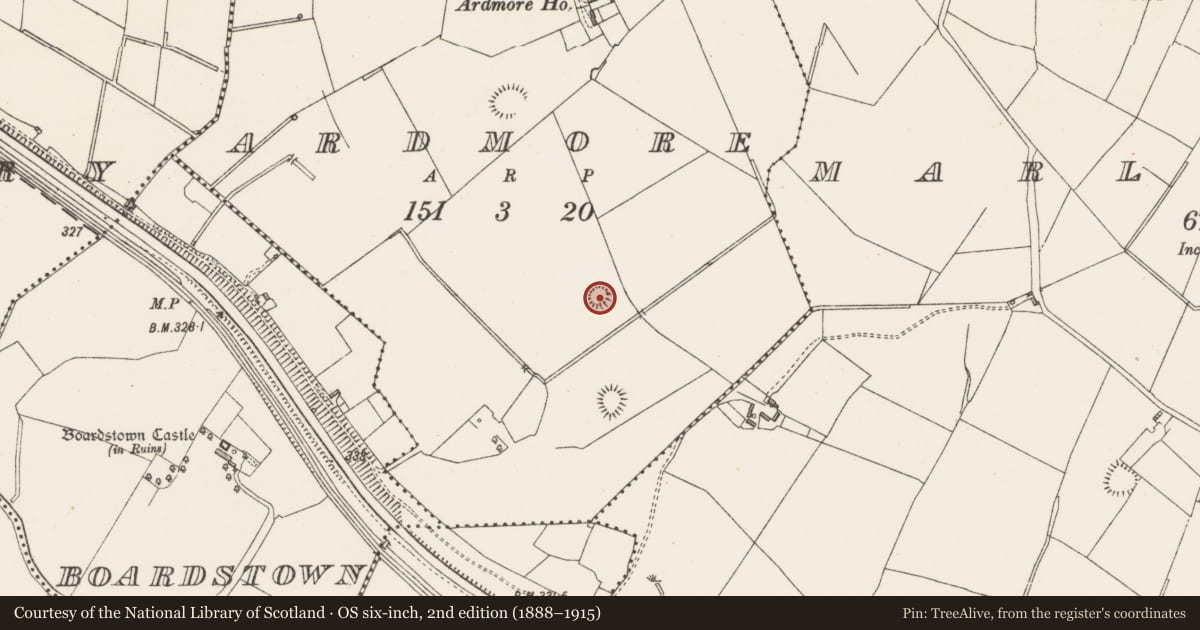 Ordnance Survey six-inch map, 2nd edition (1888–1915) covering the location of Ringfort - rath, Ardmore, County Westmeath, with a pin at the register's coordinates