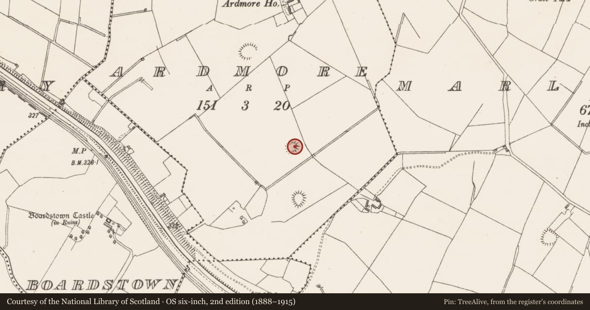 Ordnance Survey six-inch map, 2nd edition (1888–1915) covering the location of Hut site, Ardmore, County Westmeath, with a pin at the register's coordinates