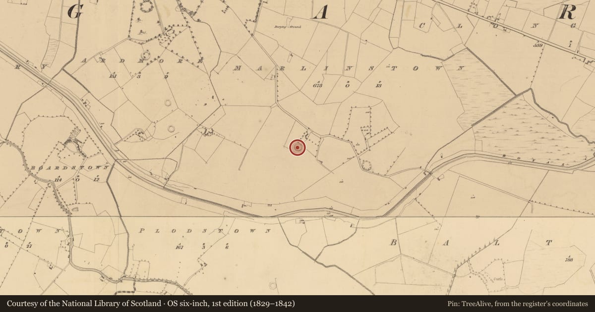 Ordnance Survey six-inch map, 1st edition (1829–1842) covering the location of Ringfort - unclassified, Marlinstown, County Westmeath, with a pin at the register's coordinates