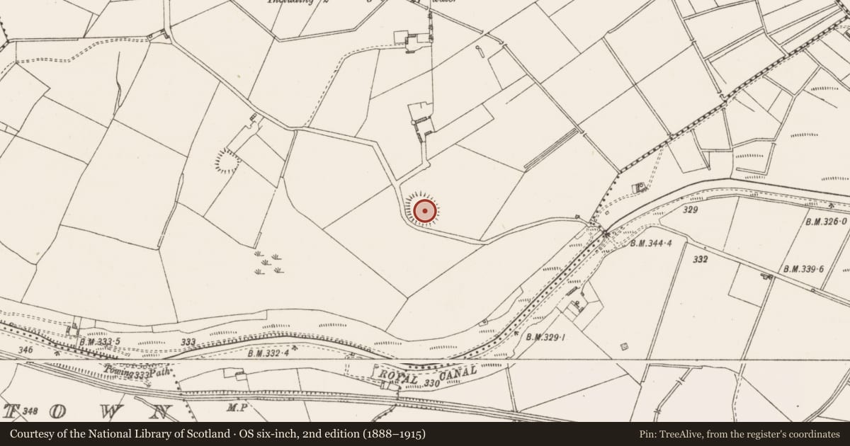 Ordnance Survey six-inch map, 2nd edition (1888–1915) covering the location of Ringfort - rath, Marlinstown, County Westmeath, with a pin at the register's coordinates