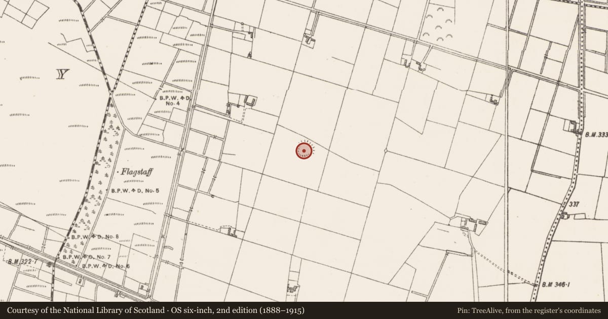 Ordnance Survey six-inch map, 2nd edition (1888–1915) covering the location of Ringfort - rath, Greatdown, County Westmeath, with a pin at the register's coordinates