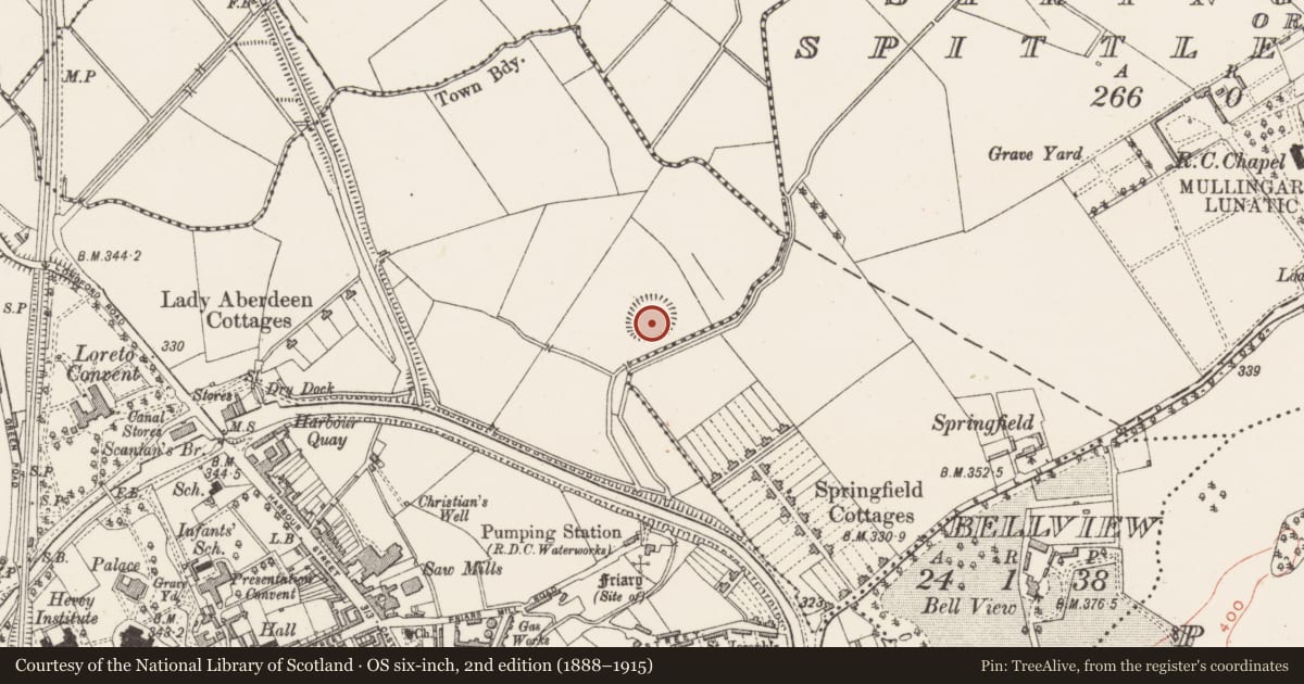 Ordnance Survey six-inch map, 2nd edition (1888–1915) covering the location of Earthwork, Mullingar, County Westmeath, with a pin at the register's coordinates