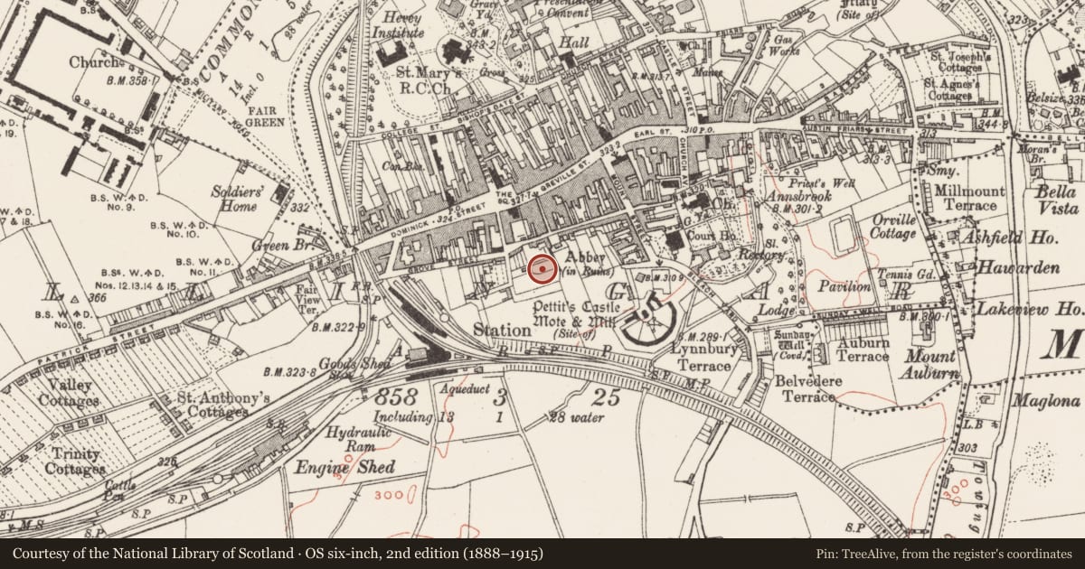 Ordnance Survey six-inch map, 2nd edition (1888–1915) covering the location of Religious house - Dominican friars, Mullingar, County Westmeath, with a pin at the register's coordinates