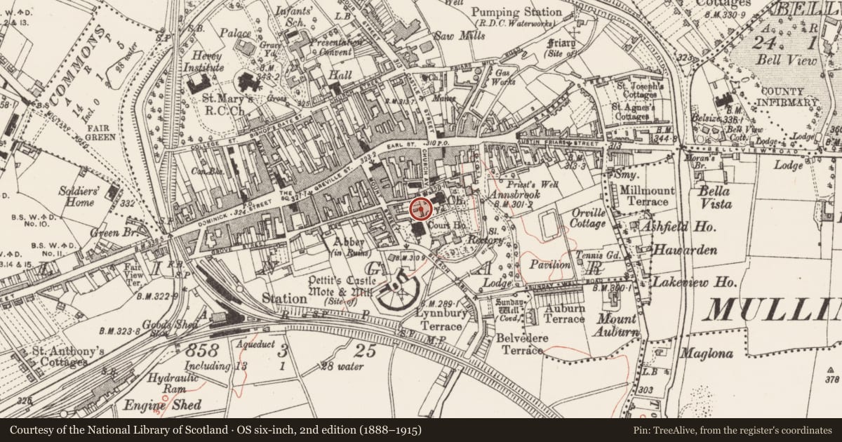 Ordnance Survey six-inch map, 2nd edition (1888–1915) covering the location of Graveslab, Mullingar, County Westmeath, with a pin at the register's coordinates