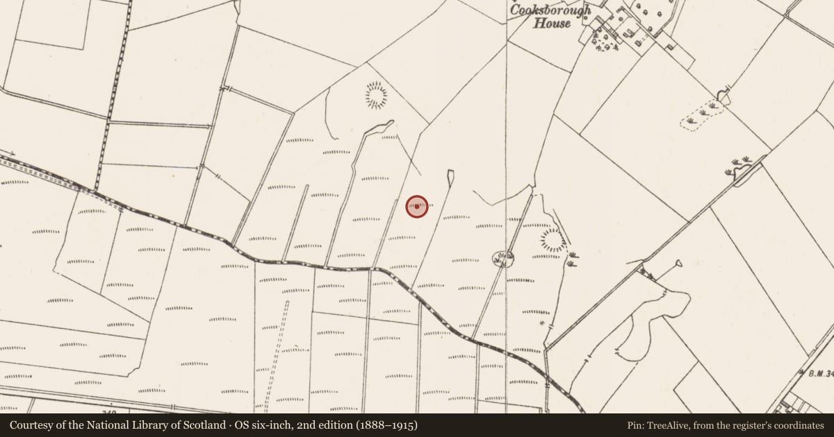 Ordnance Survey six-inch map, 2nd edition (1888–1915) covering the location of Enclosure - large enclosure, Cooksborough, County Westmeath, with a pin at the register's coordinates