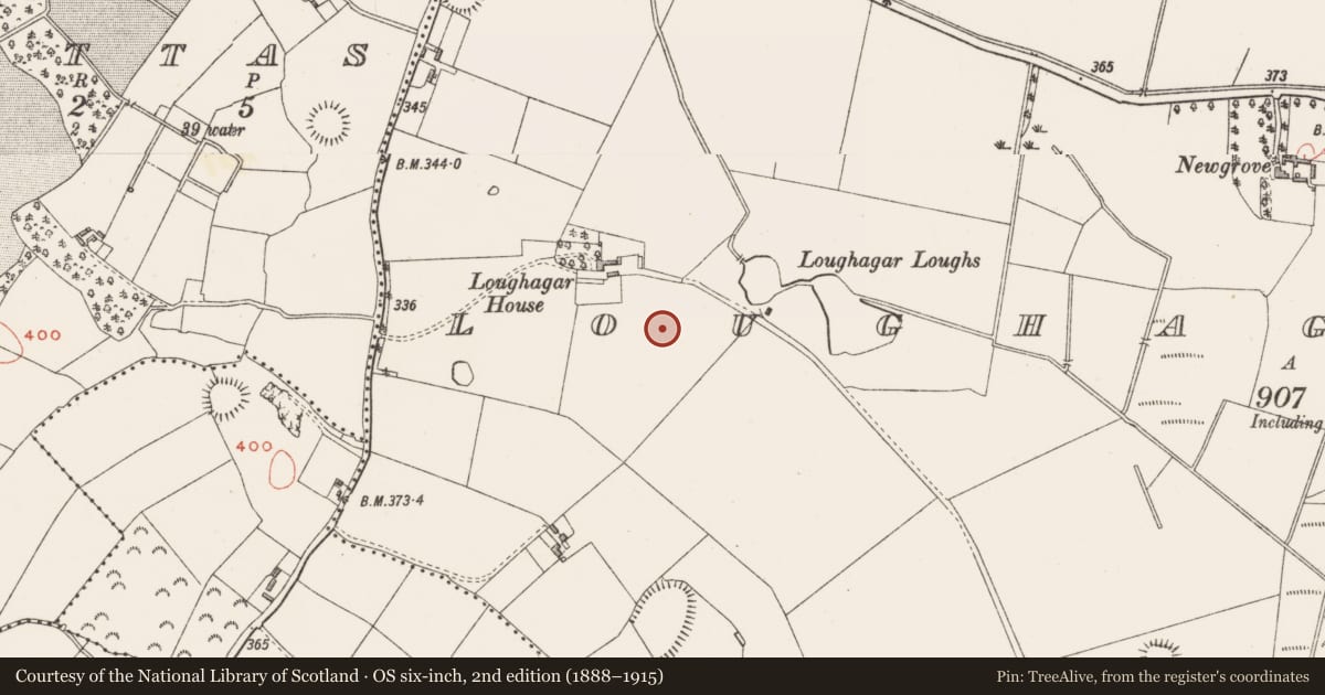 Ordnance Survey six-inch map, 2nd edition (1888–1915) covering the location of Enclosure, Loughagar More, County Westmeath, with a pin at the register's coordinates