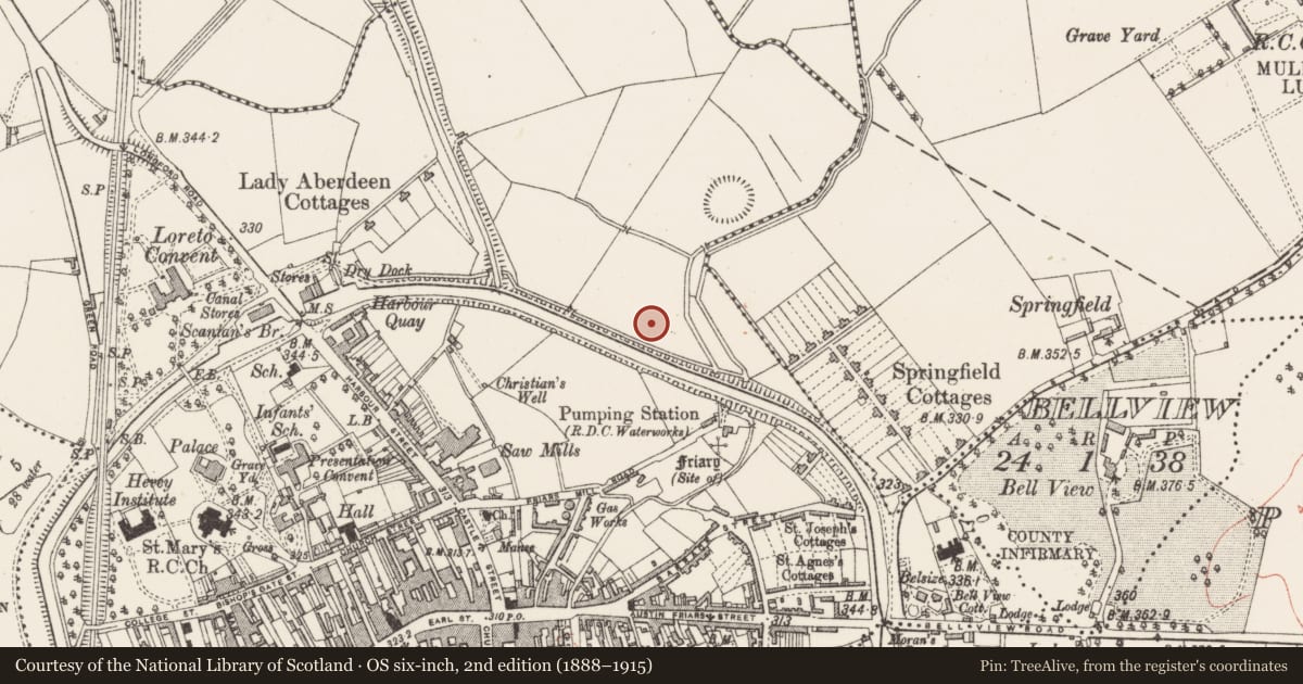 Ordnance Survey six-inch map, 2nd edition (1888–1915) covering the location of Earthwork, Mullingar, County Westmeath, with a pin at the register's coordinates