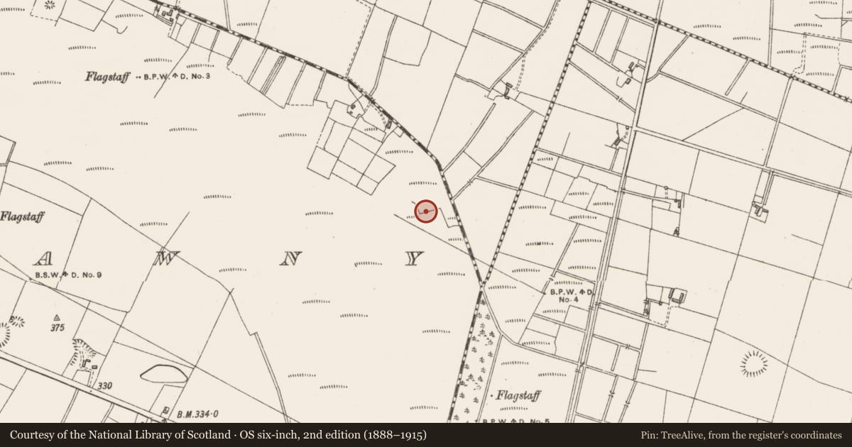 Ordnance Survey six-inch map, 2nd edition (1888–1915) covering the location of Enclosure, Clongawny, County Westmeath, with a pin at the register's coordinates