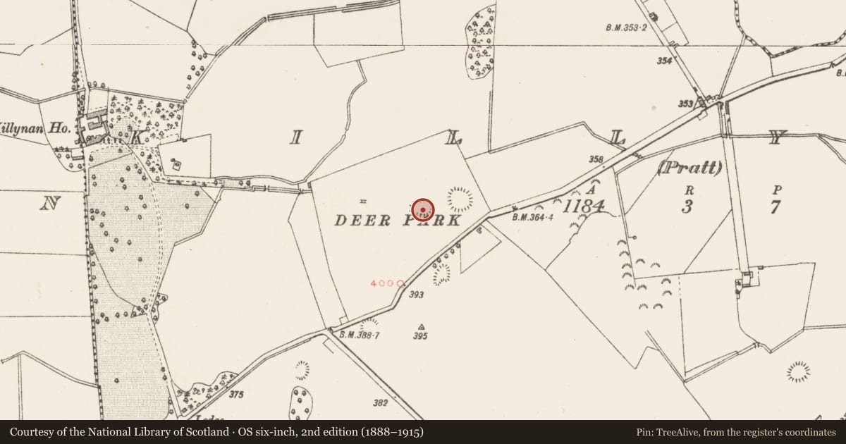 Ordnance Survey six-inch map, 2nd edition (1888–1915) covering the location of Ringfort - rath, Killynan (Pratt), County Westmeath, with a pin at the register's coordinates
