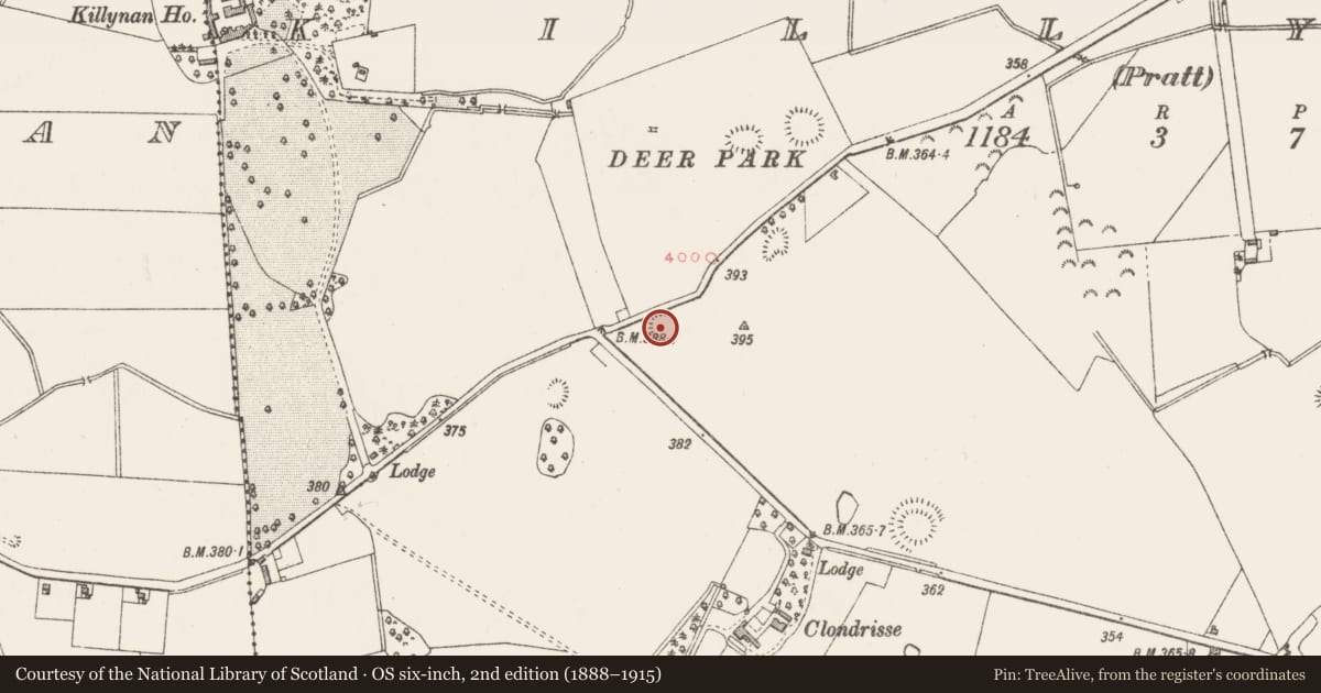 Ordnance Survey six-inch map, 2nd edition (1888–1915) covering the location of Ringfort - unclassified, Killynan (Pratt), County Westmeath, with a pin at the register's coordinates