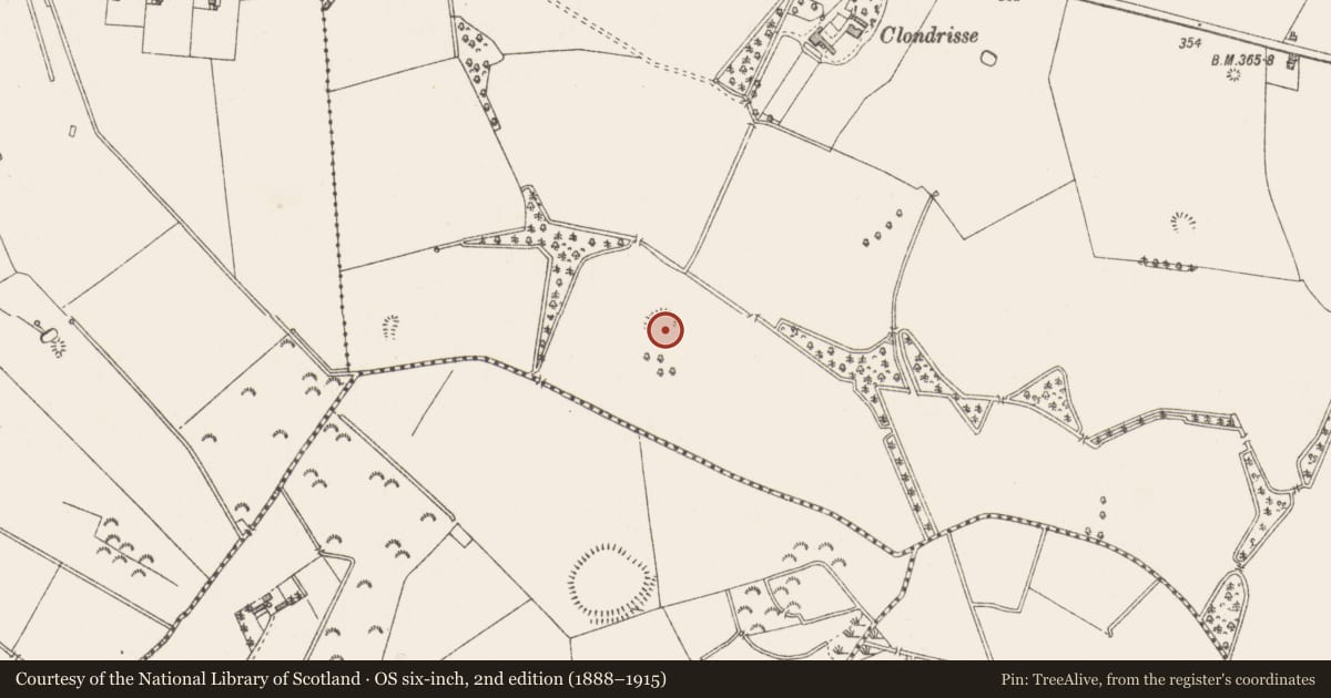 Ordnance Survey six-inch map, 2nd edition (1888–1915) covering the location of Ringfort - unclassified, Killynan (Pratt), County Westmeath, with a pin at the register's coordinates