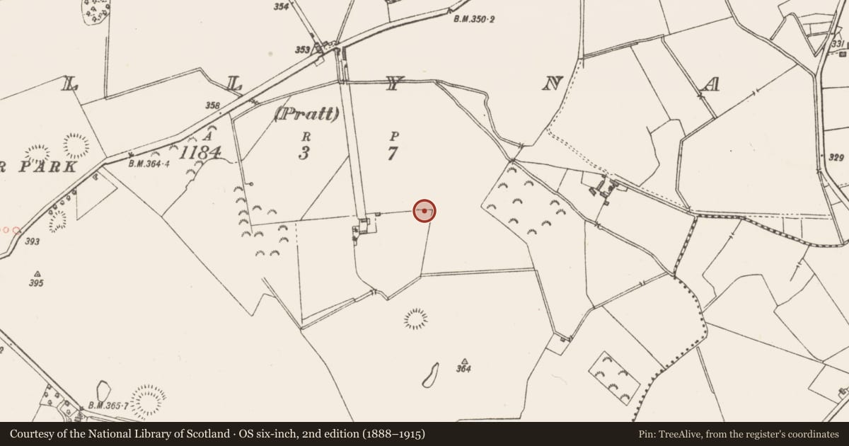 Ordnance Survey six-inch map, 2nd edition (1888–1915) covering the location of Ringfort - unclassified, Killynan (Pratt), County Westmeath, with a pin at the register's coordinates