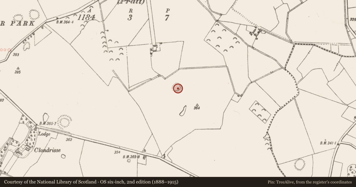 Ordnance Survey six-inch map, 2nd edition (1888–1915) covering the location of Ringfort - rath, Killynan (Pratt), County Westmeath, with a pin at the register's coordinates