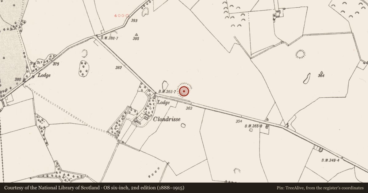 Ordnance Survey six-inch map, 2nd edition (1888–1915) covering the location of Ringfort - rath, Killynan (Pratt), County Westmeath, with a pin at the register's coordinates