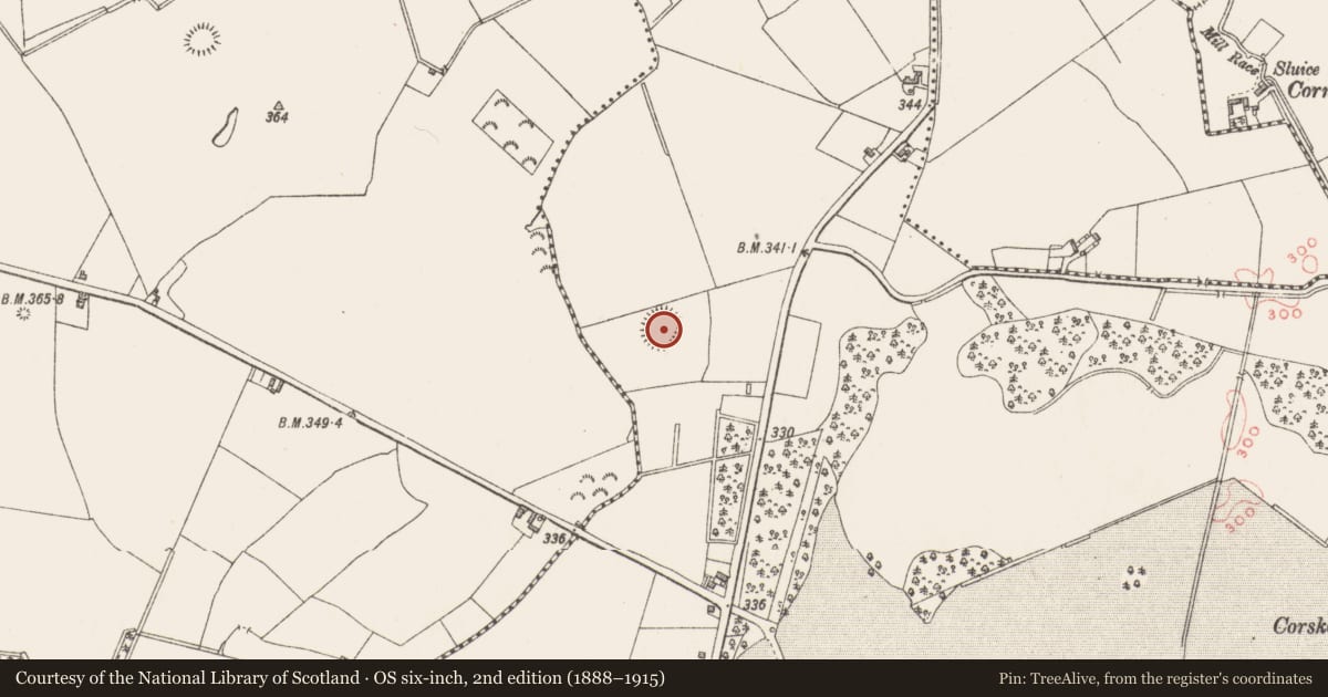 Ordnance Survey six-inch map, 2nd edition (1888–1915) covering the location of Ringfort - rath, Clonlost, County Westmeath, with a pin at the register's coordinates