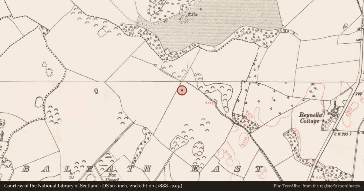Ordnance Survey six-inch map, 2nd edition (1888–1915) covering the location of Ringfort - unclassified, Balrath East, County Westmeath, with a pin at the register's coordinates